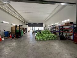 REVV (D22), Factory #448776841